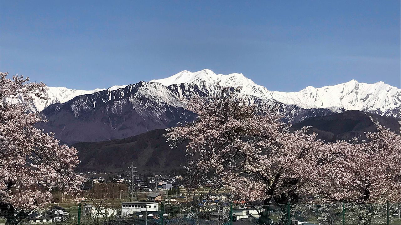 201805 hanawa 02