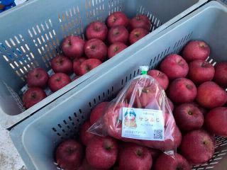 apples