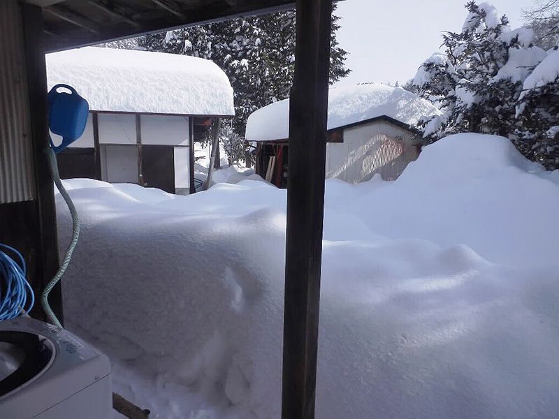 snowfall 1m