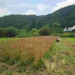 thumb 201908 maekawa03