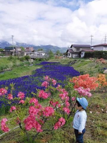 thumb 201903 nakayama nougu2