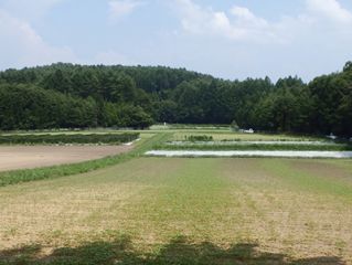 thumb hidden farm