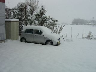umeda snow01