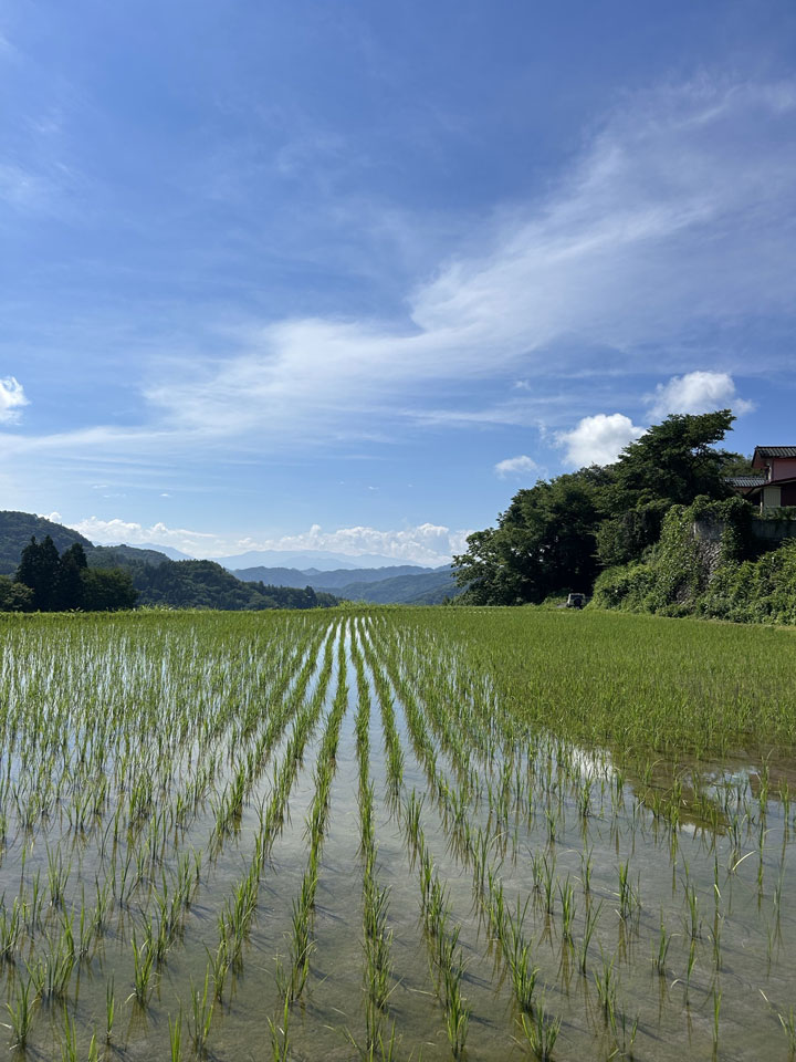 写真：木崎湖でのサップ①