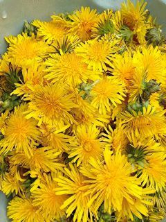 写真：500個のひまわりの花
