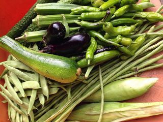 写真：収穫された野菜