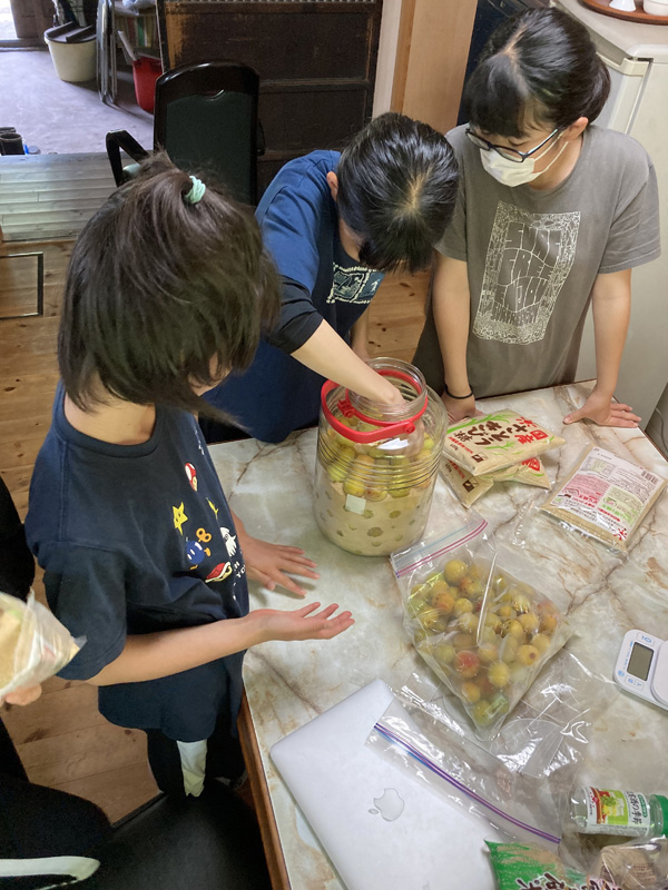 梅仕事