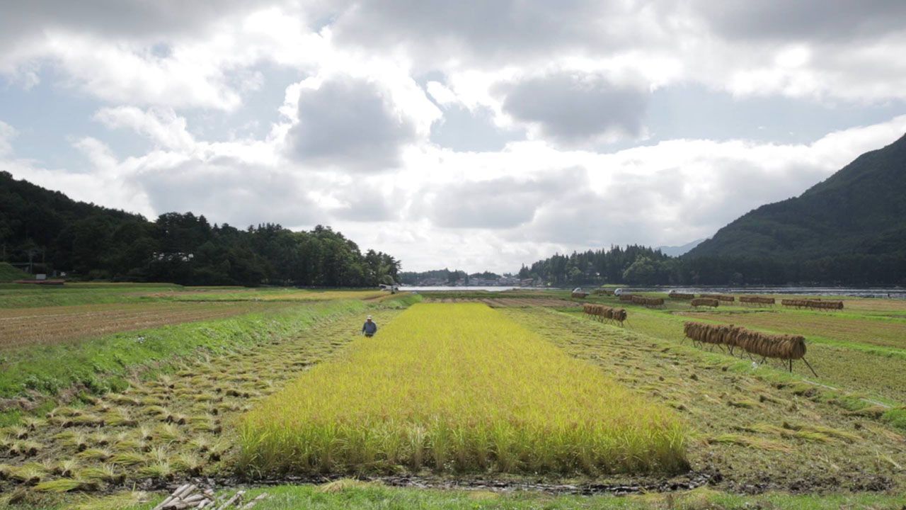 yamamoto_03.jpg