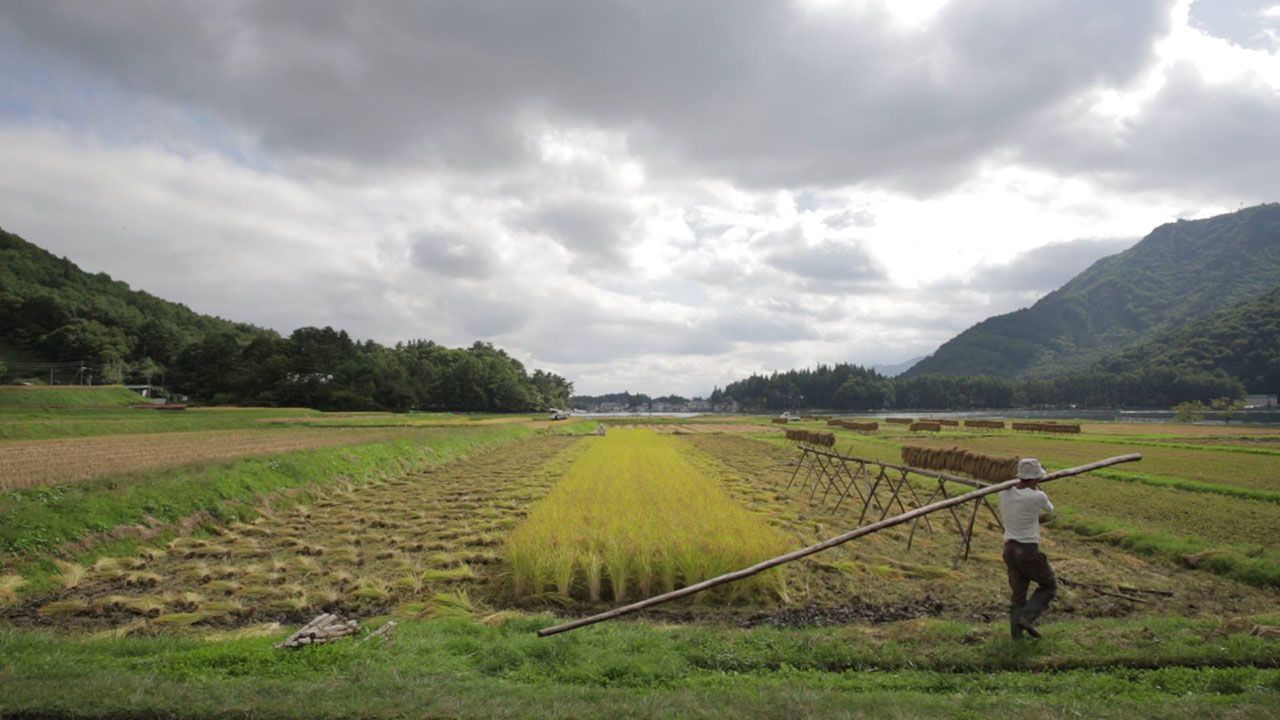 yamamoto_05.jpg