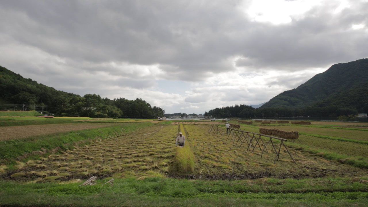 yamamoto_06.jpg