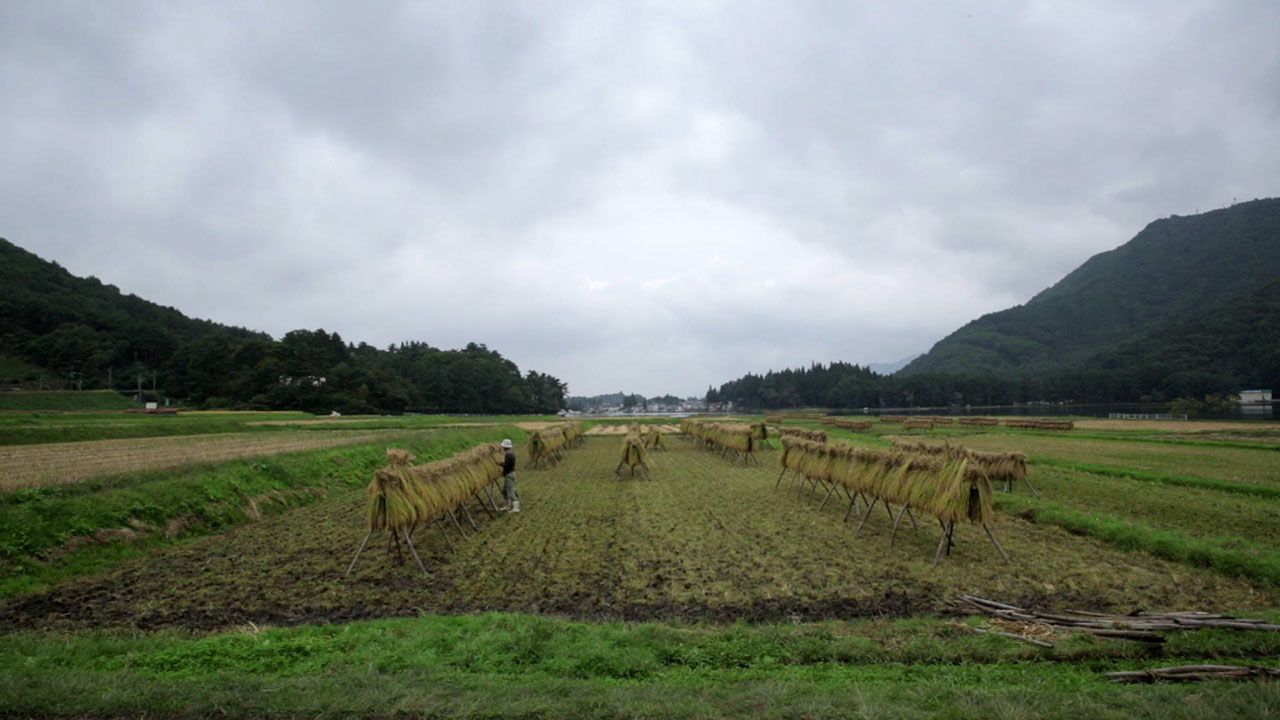 yamamoto_07.jpg