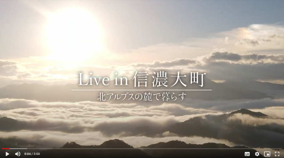 動画画面