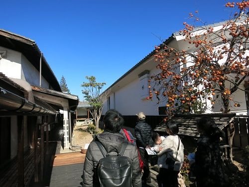 IMG 0669