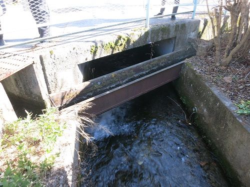 IMG 0895
