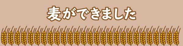 リレー・エッセイ 第40回 麦ができました～。