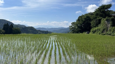 第105回 季節の移ろいと共に、命の芽吹きを感じながら、安心して今を生きられる里山移住生活